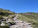 0359h_IMG_9305.jpg