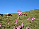0449h_IMG_9347.jpg