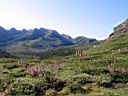 0573h_IMG_9398.jpg