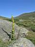 0574h_IMG_9399.jpg