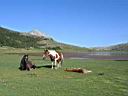 0592h_IMG_9411.jpg