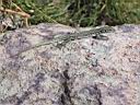 0729h_IMG_9461.jpg