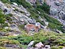 0871h_IMG_9529.jpg