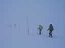 049h_IMG_7183.jpg