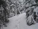 094h_IMG_7210.jpg
