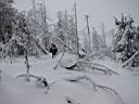 130h_IMG_5416.jpg