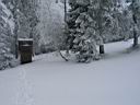 184h_IMG_7281.jpg