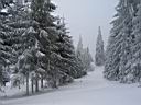 193h_IMG_7290.jpg