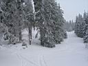 199h_IMG_7292.jpg