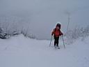 217h_IMG_7313.jpg
