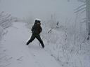 229h_IMG_7326.jpg