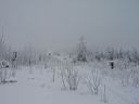 235h_IMG_7330.jpg