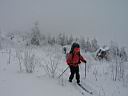 241h_IMG_7333.jpg