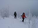 253h_IMG_7339.jpg
