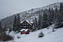 265m_IMG_52744.jpg
