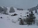 292h_IMG_7368.jpg