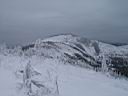 301h_IMG_7375.jpg