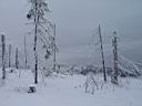 310h_IMG_7383.jpg