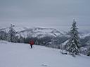 319h_IMG_7390.jpg