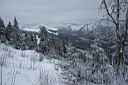 320n_IMG_52754.jpg